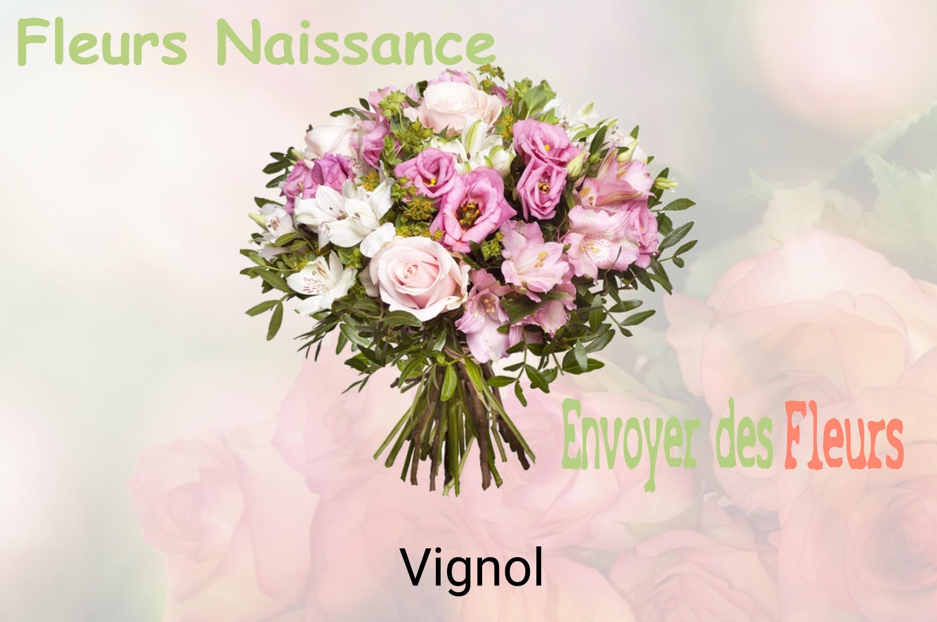 Bouquet de fleurs de naissance livré à Vignol
